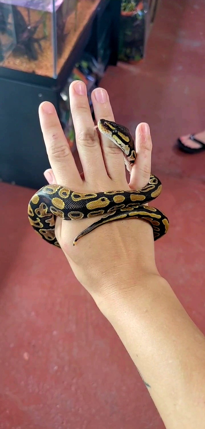 Sounds Fishy Aquatics & Exotics - Photo 4