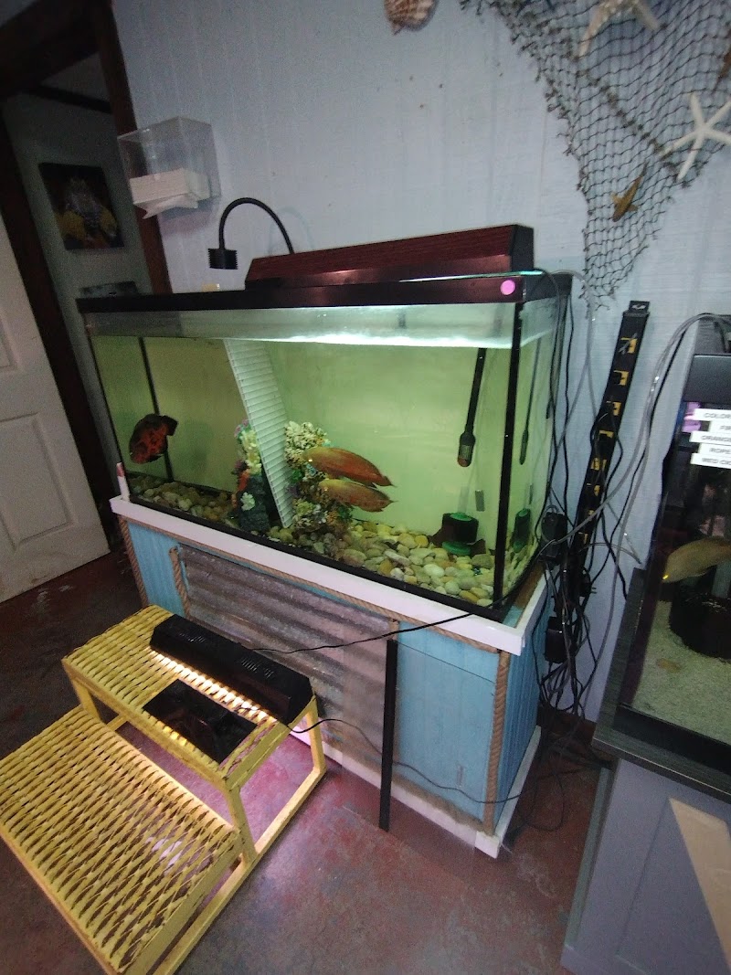 Sounds Fishy Aquatics & Exotics - Photo 5