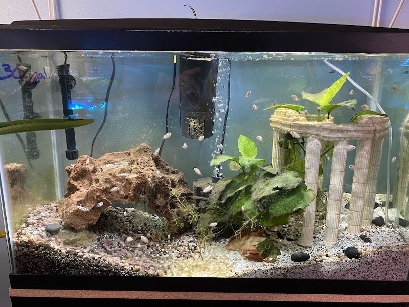 C2C Tropics - Photo 2