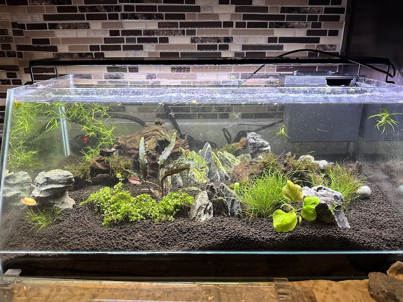 C2C Tropics - Photo 3