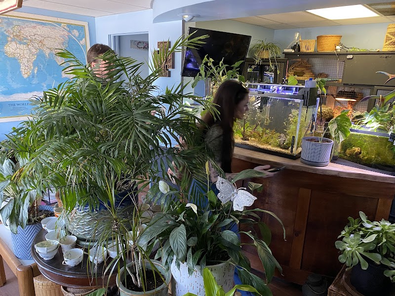 C2C Tropics - Photo 4