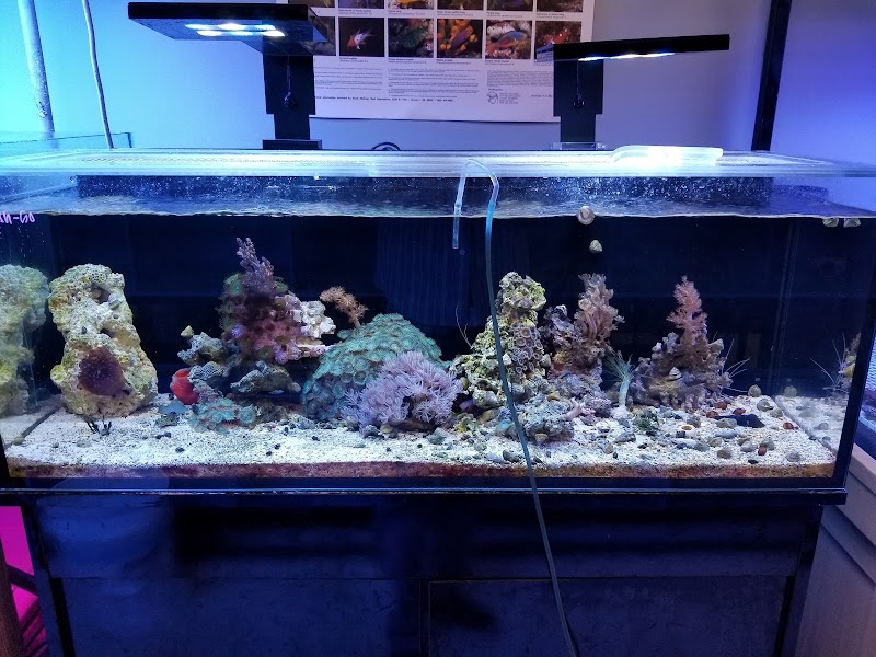 Rusty's Reefs - Photo 3