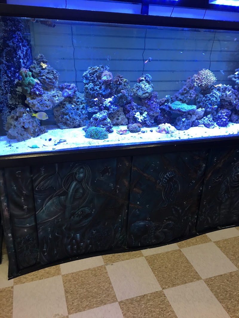 Rusty's Reefs - Photo 5