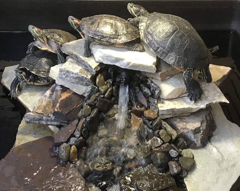 Oasis Pond Maintenance & Supply - Photo 1