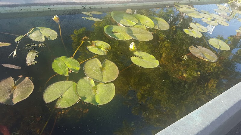 Oasis Pond Maintenance & Supply - Photo 3