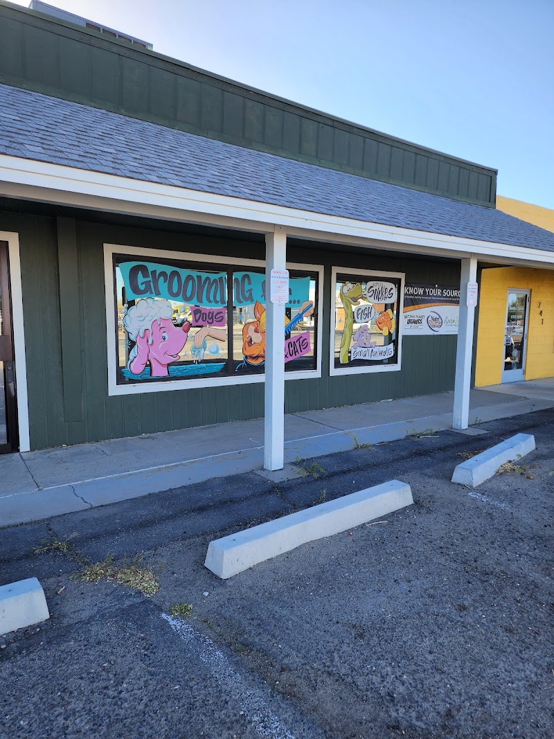 Family Pet Connection - Photo 1