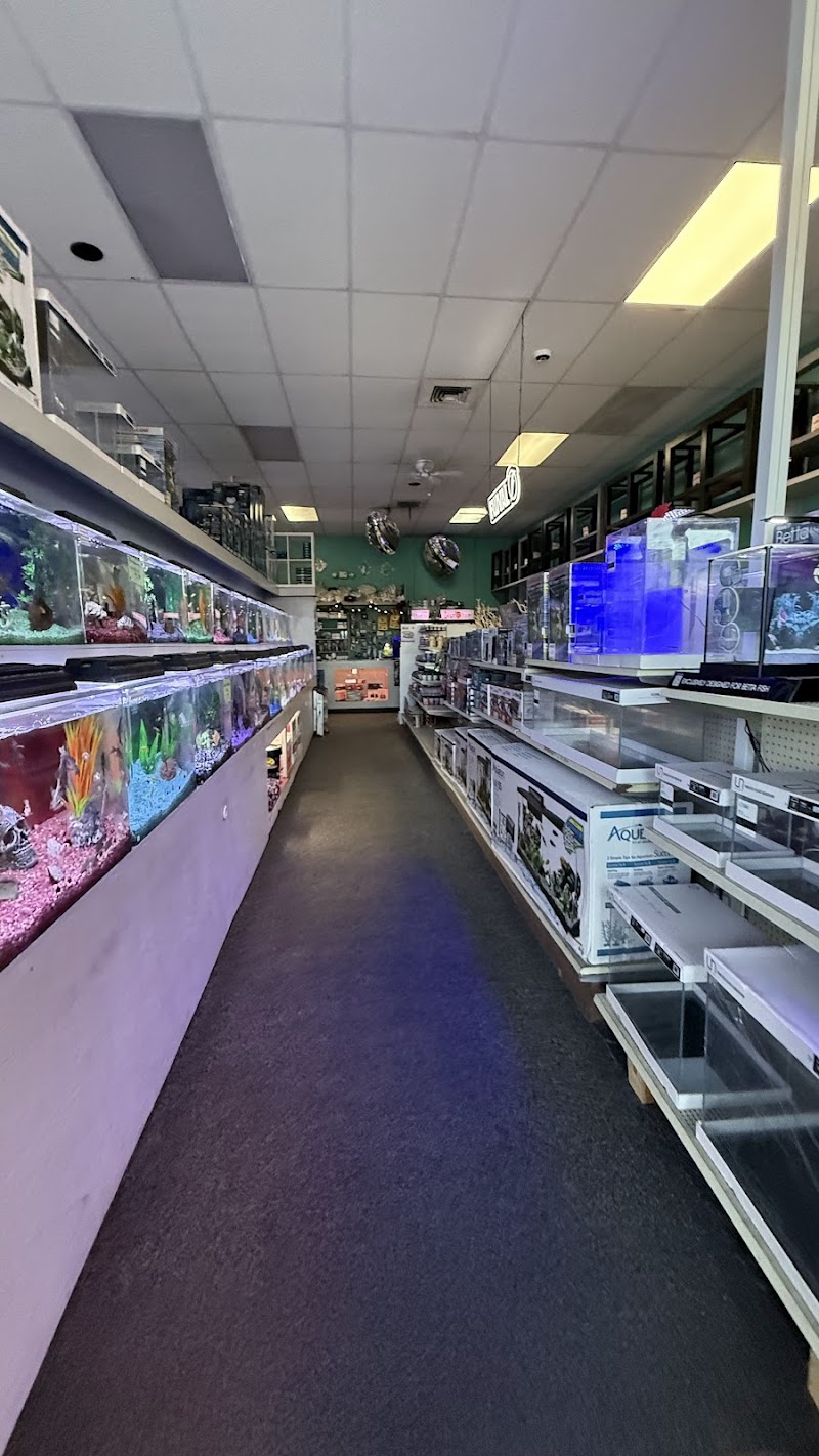 Trop Aquarium - Photo 3