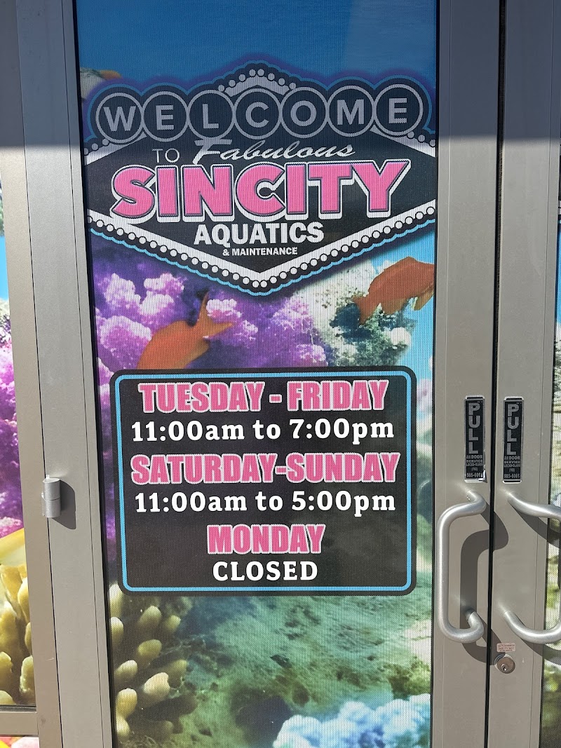 Sin City Aquatics & Maintenance - Photo 4