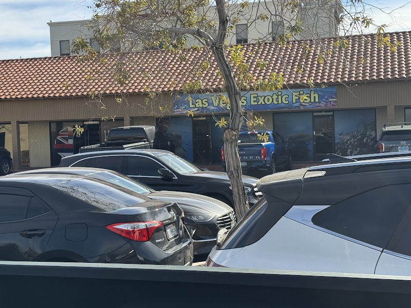 Las Vegas Exotic Fish - Photo 1