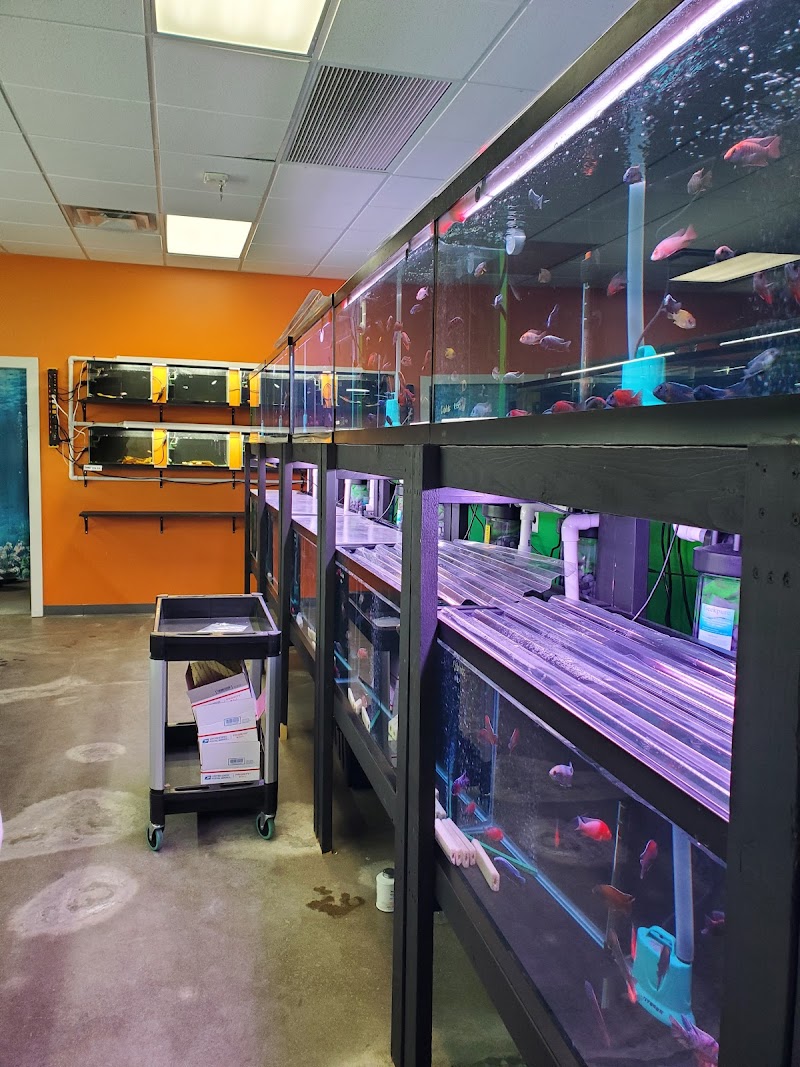 Las Vegas Exotic Fish - Photo 2