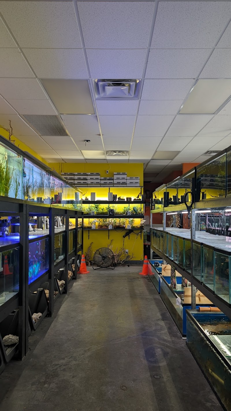 Las Vegas Exotic Fish - Photo 5