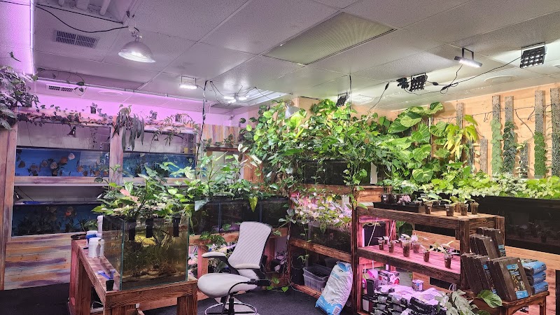 Mike & Miguel's Fish and Plant Store - Photo 2