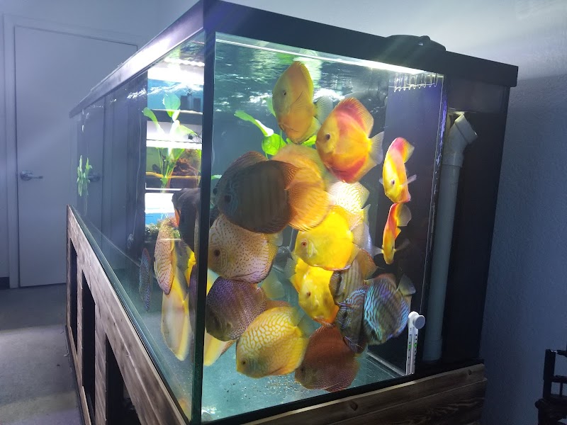 Mike & Miguel's Fish and Plant Store - Photo 4