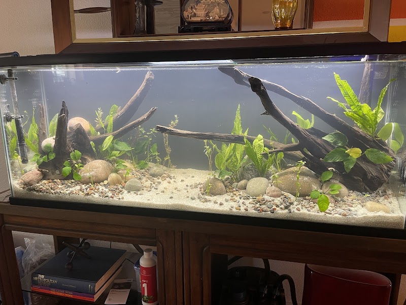 Blue Reef Aquatics - Photo 2