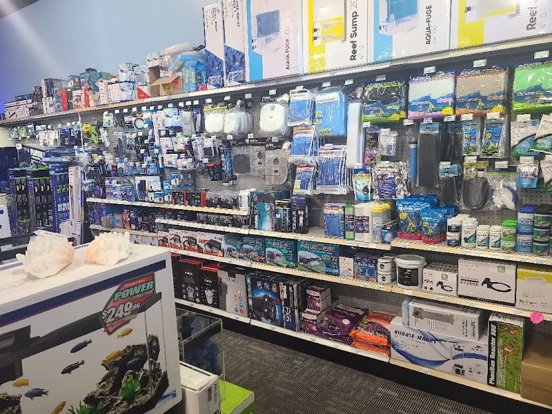 Blue Reef Aquatics - Photo 4