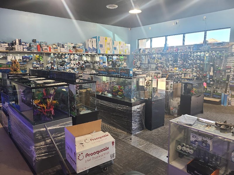 Blue Reef Aquatics - Photo 5