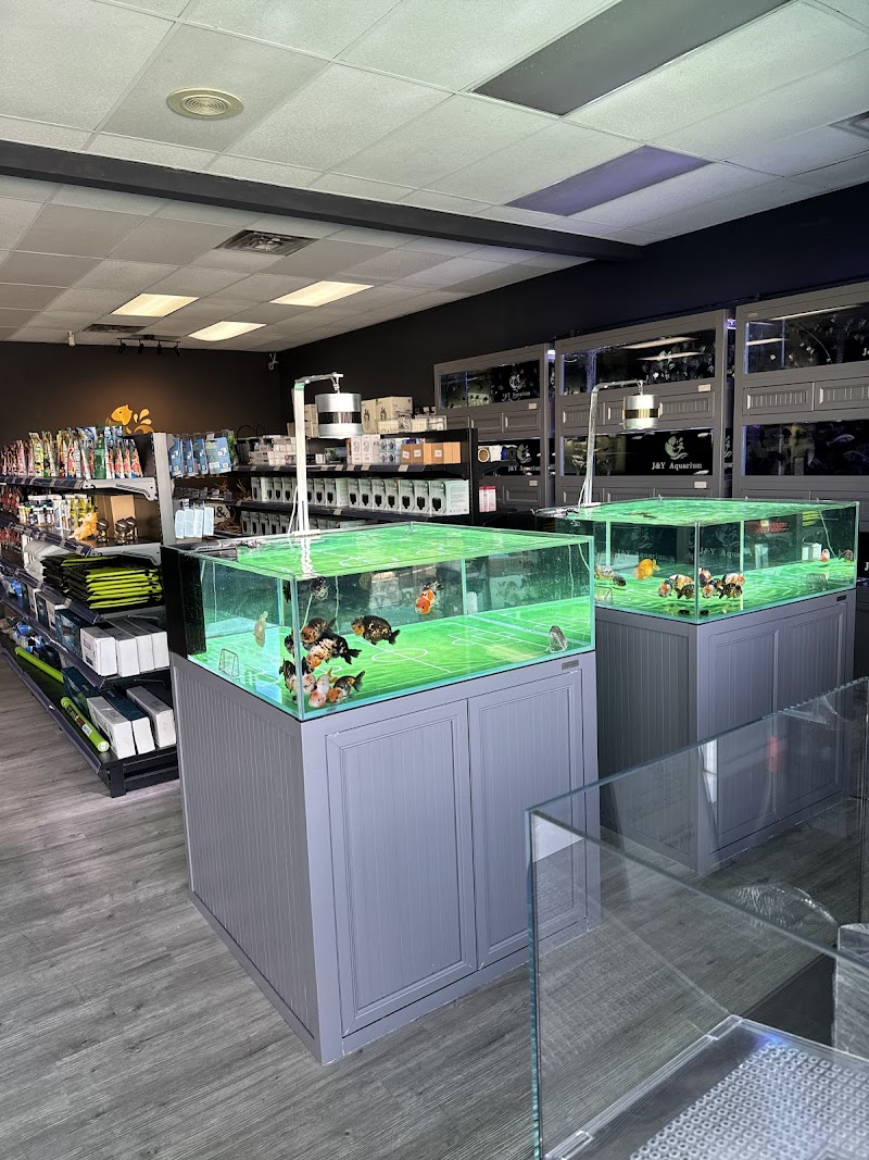 J&Y Aquarium - Photo 3
