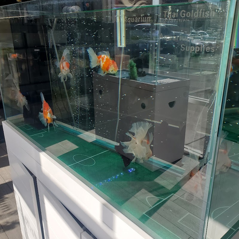 J&Y Aquarium - Photo 4