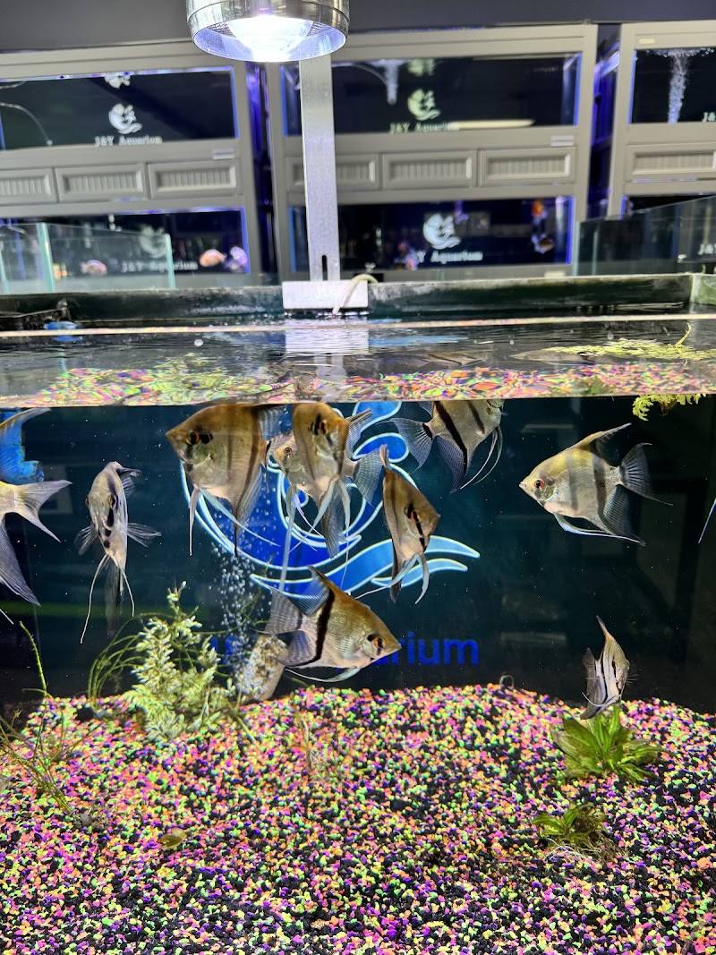 J&Y Aquarium - Photo 5