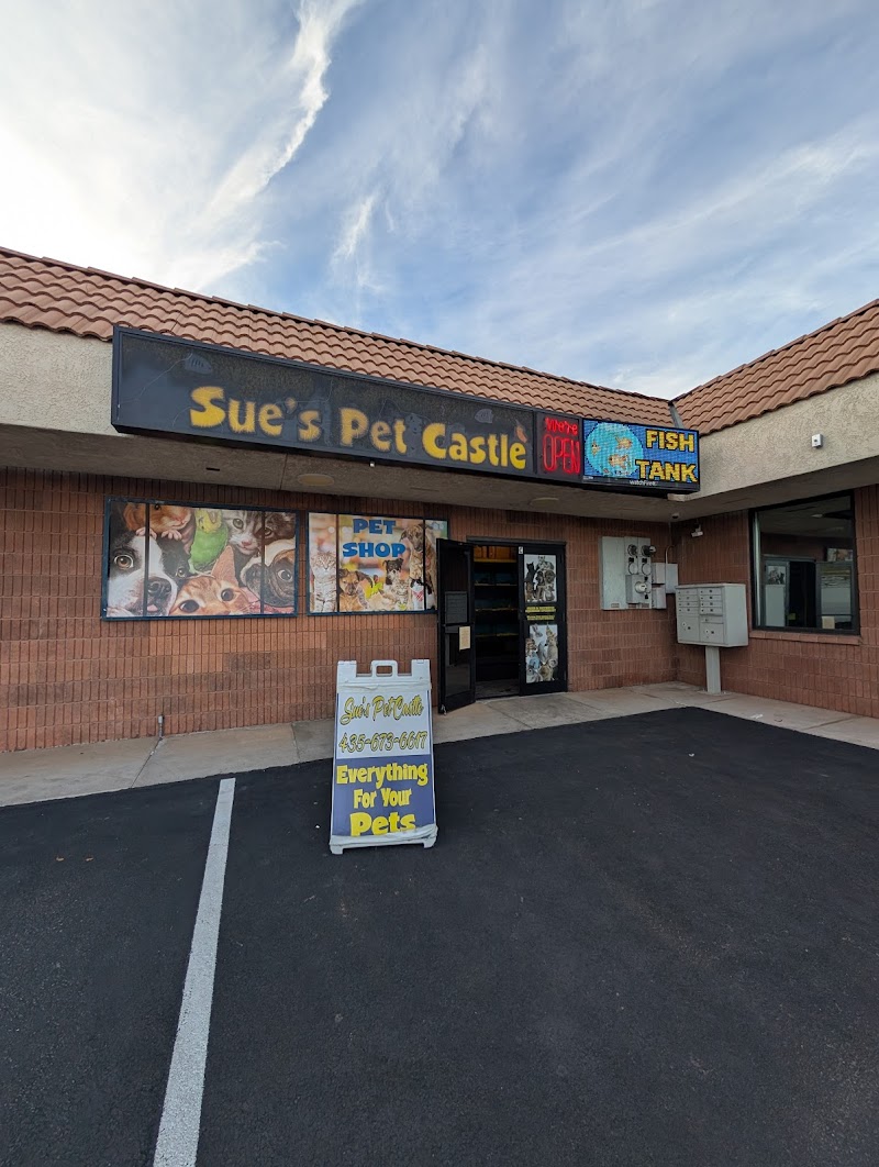 Sue's Pet Castle - Photo 1