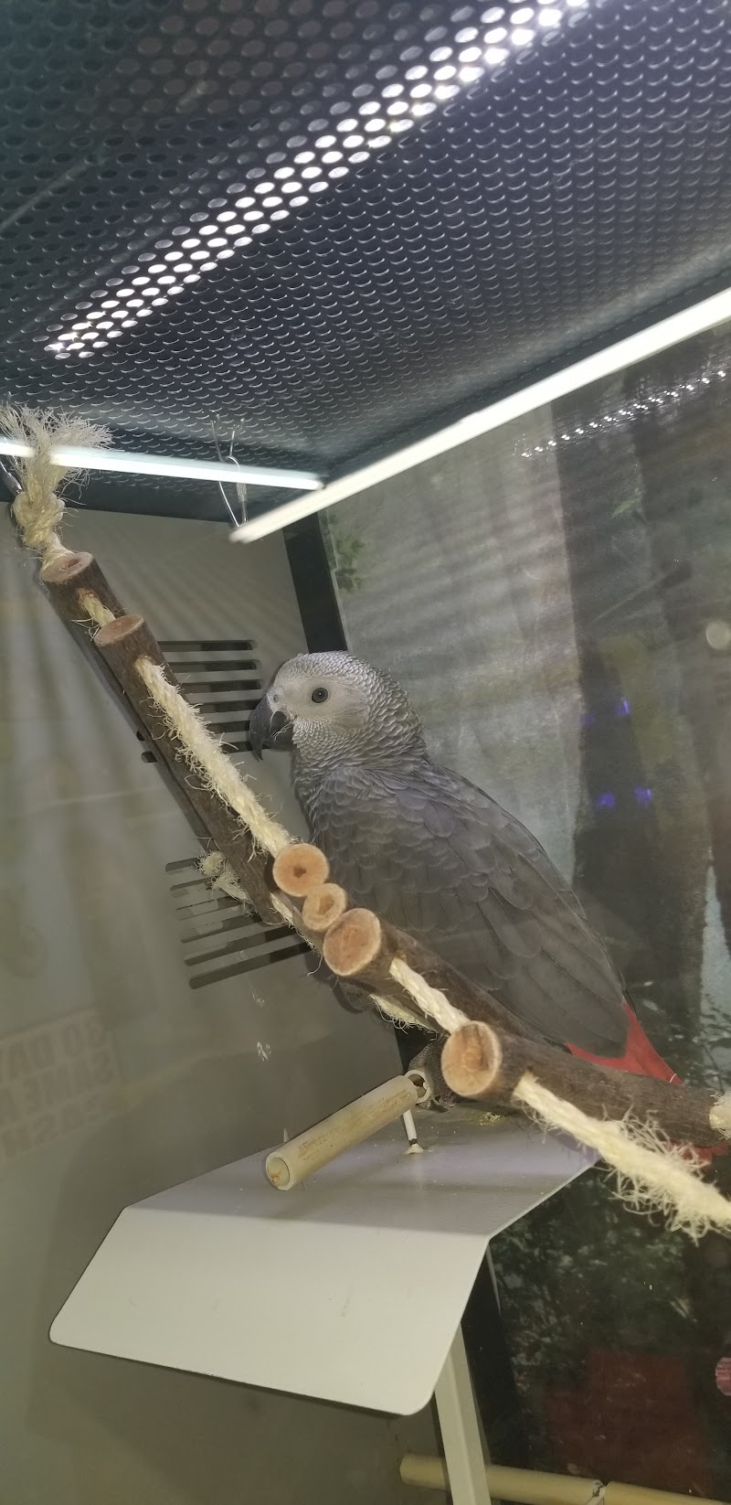 Sue's Pet Castle - Photo 3