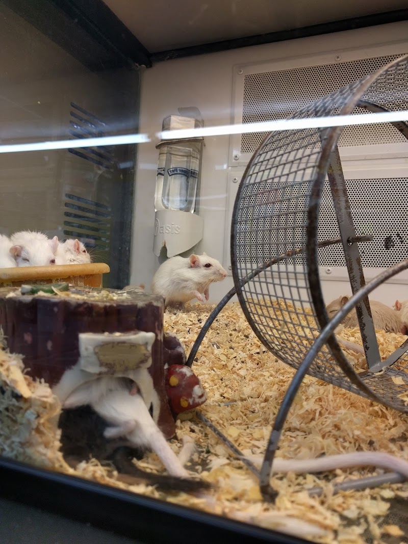 Sue's Pet Castle - Photo 5