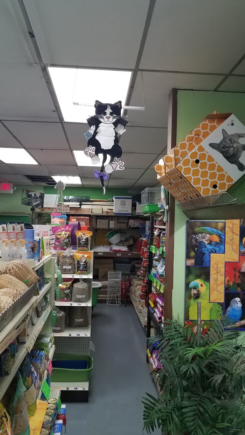 Pettin Place - Photo 2