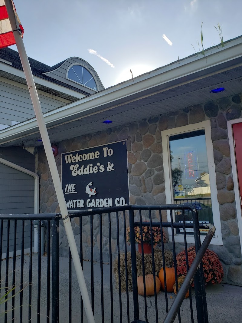 Eddie's Aquarium Centre - Photo 1