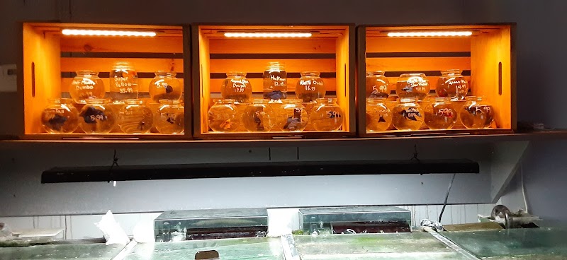 Eddie's Aquarium Centre - Photo 3