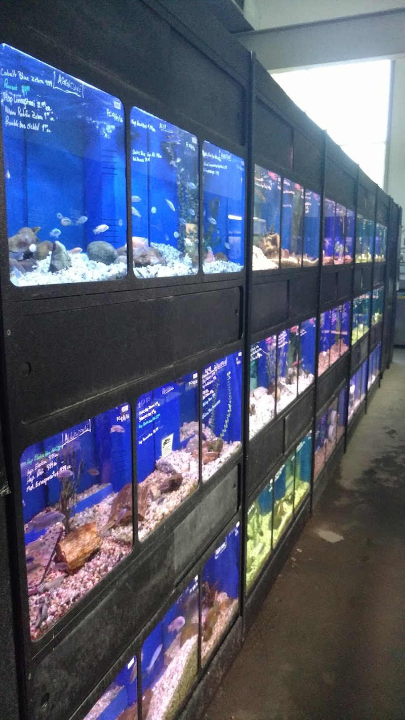 Eddie's Aquarium Centre - Photo 4