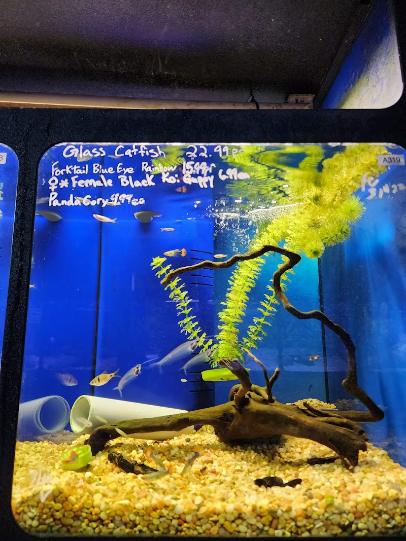 Eddie's Aquarium Centre - Photo 5