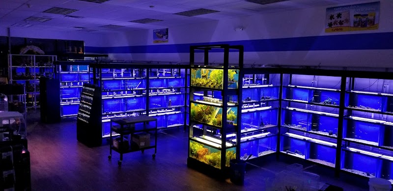 Buckley's Fish Room - Photo 2
