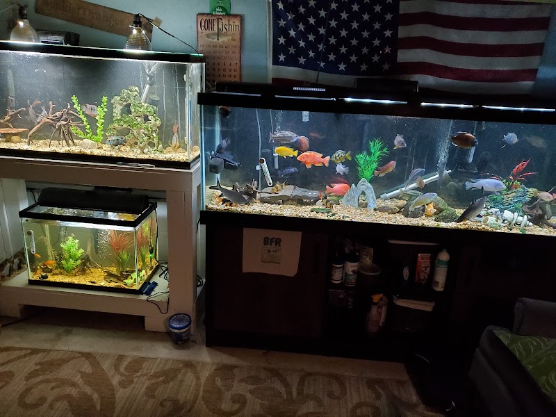 Buckley's Fish Room - Photo 3