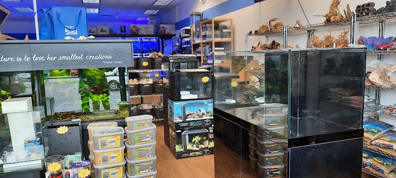 Buckley's Fish Room - Photo 5