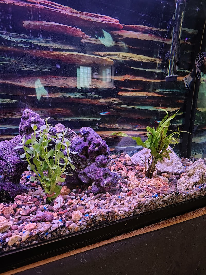 Aquaholic Aquariums LLC - Photo 3