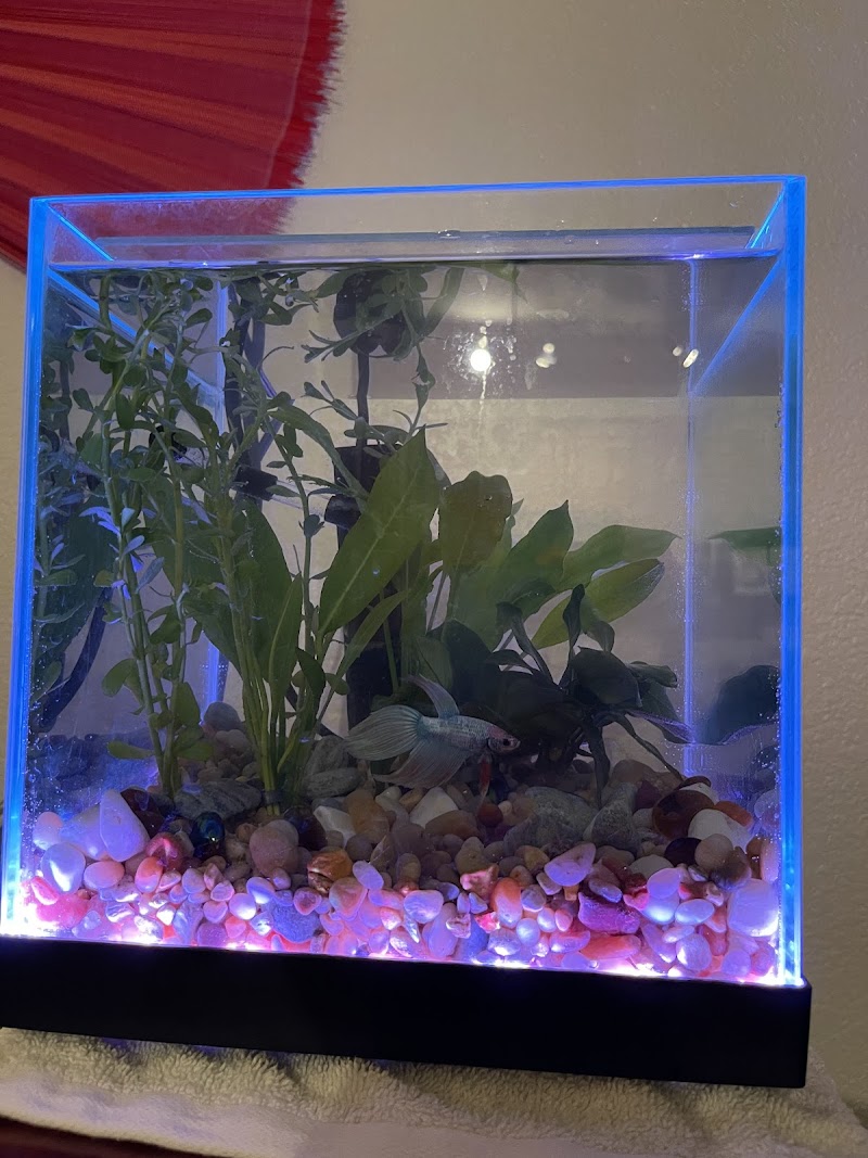 Aquaholic Aquariums LLC - Photo 4