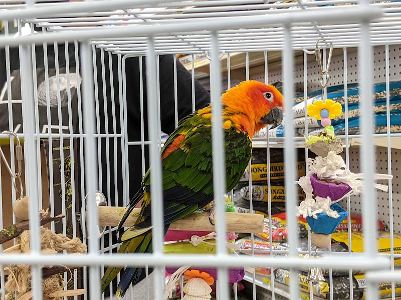 Benson's Pet Center - Photo 3