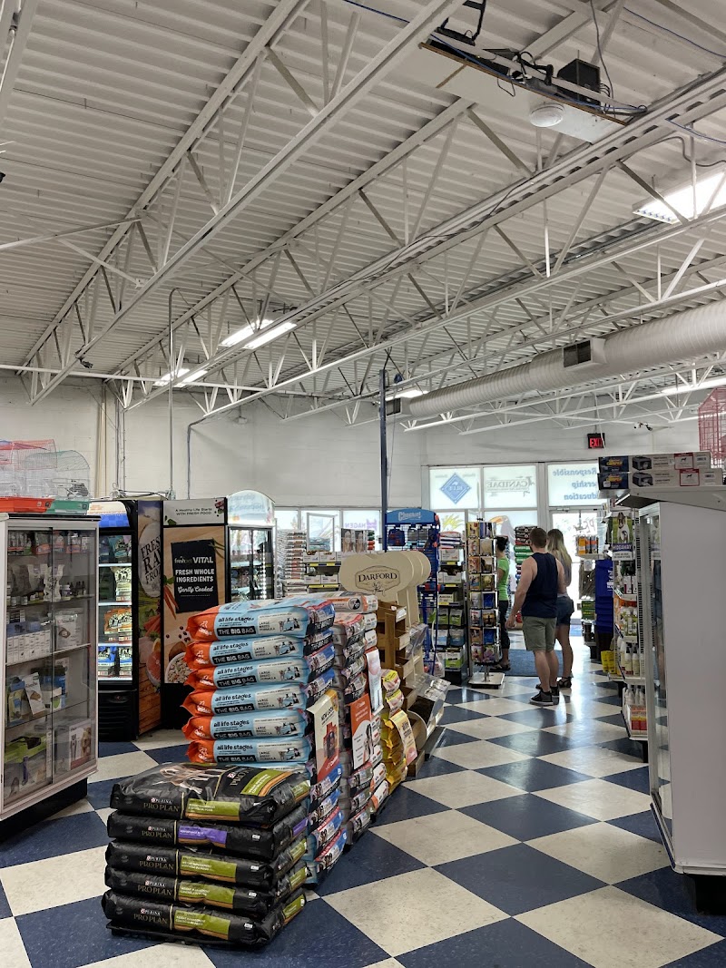 Creature Comforts - Photo 2