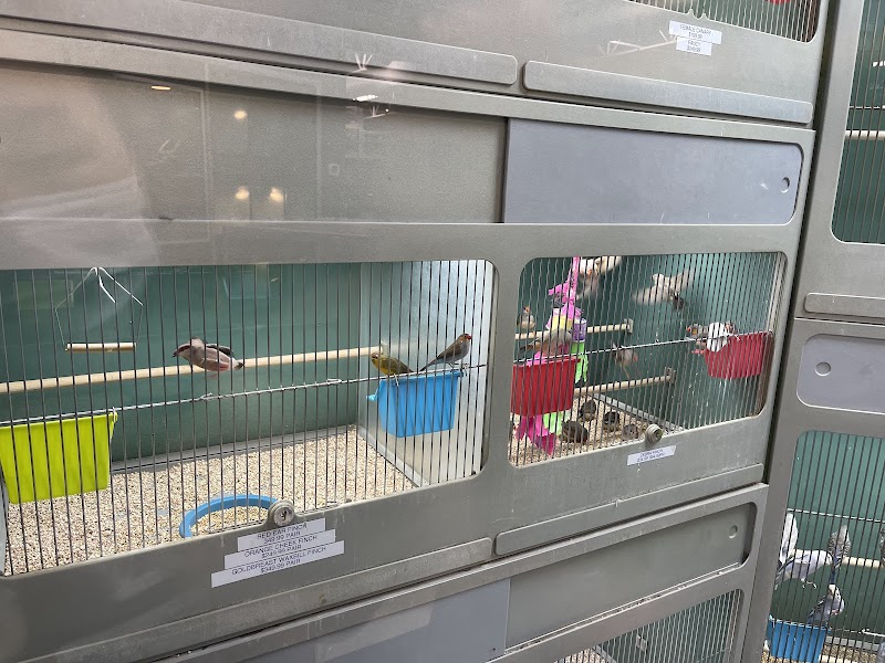 Creature Comforts - Photo 4