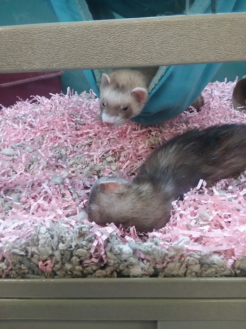 Creature Comforts - Photo 5