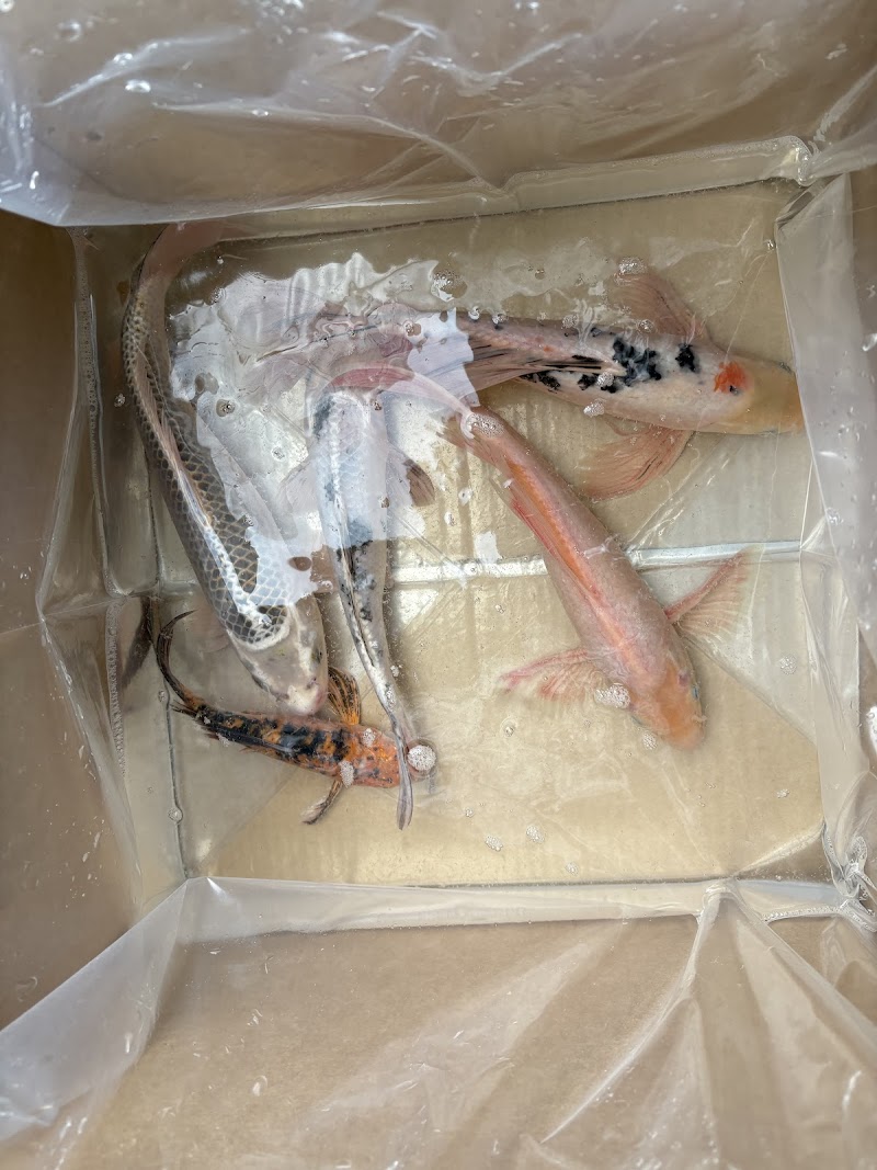 Mid-Atlantic Stocking - Photo 3