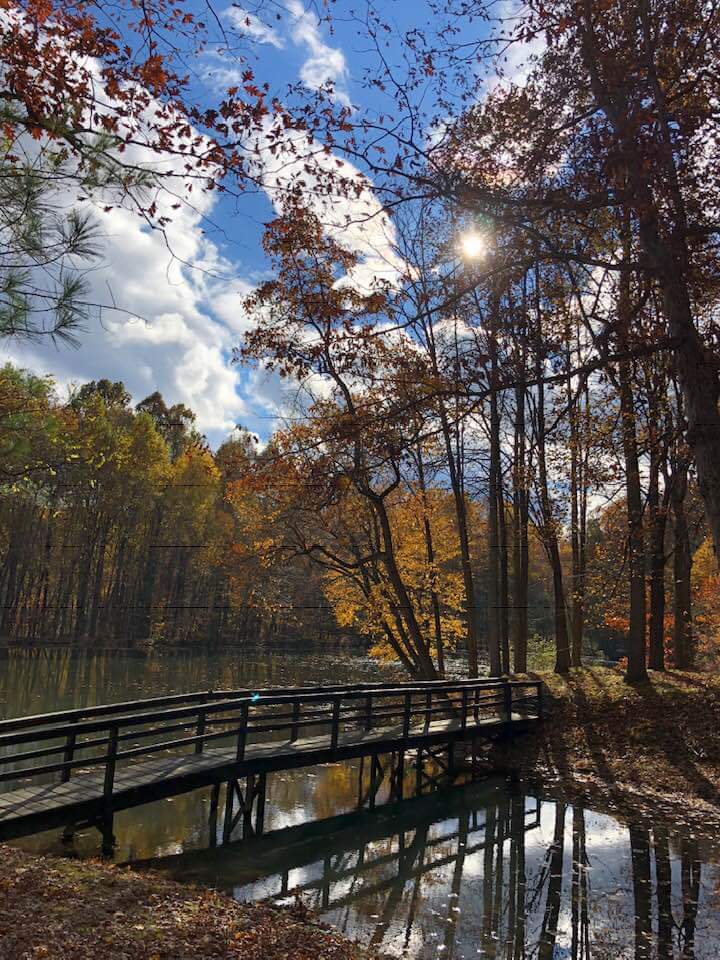 Mid-Atlantic Stocking - Photo 4