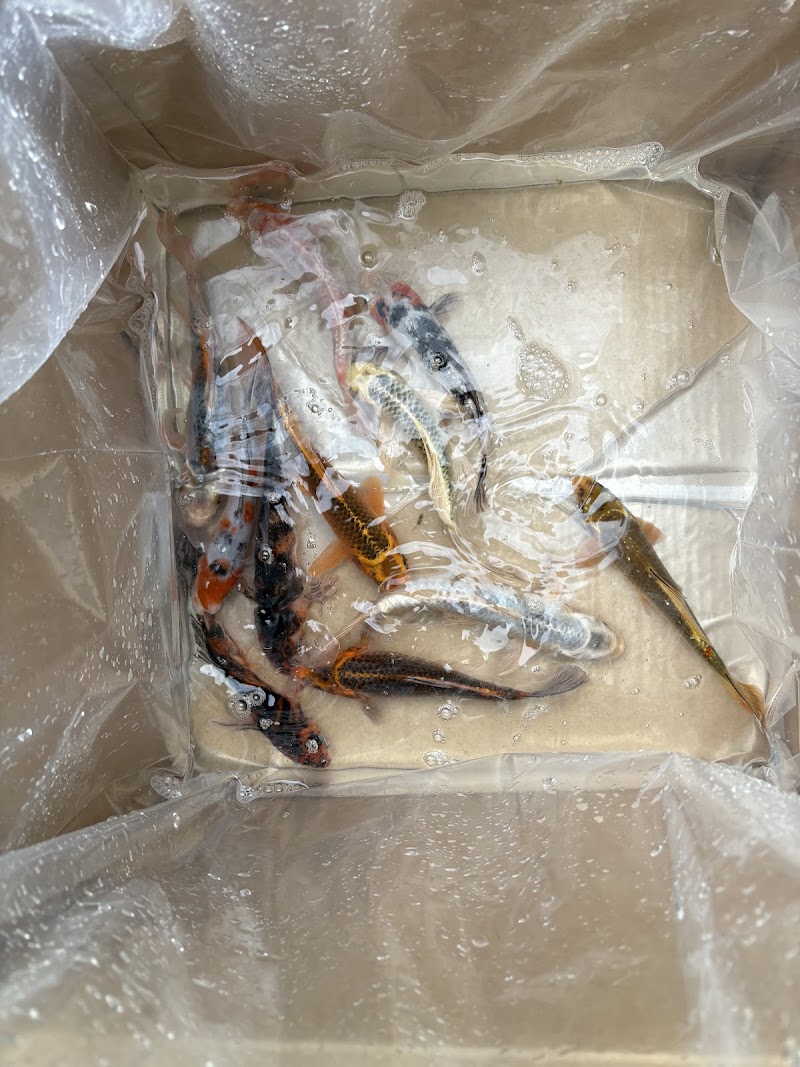 Mid-Atlantic Stocking - Photo 5