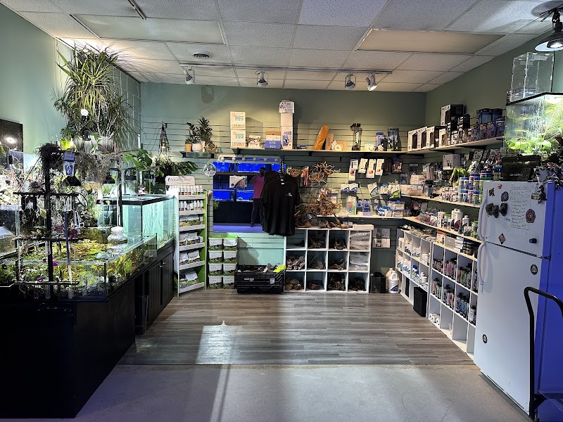 Low Tide Corals & Aquatics - Photo 2