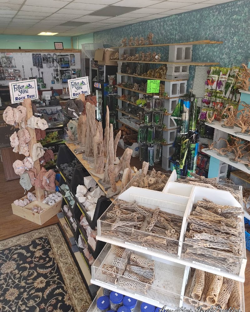 Aquatics and Exotics Pet Shop llc - Photo 2