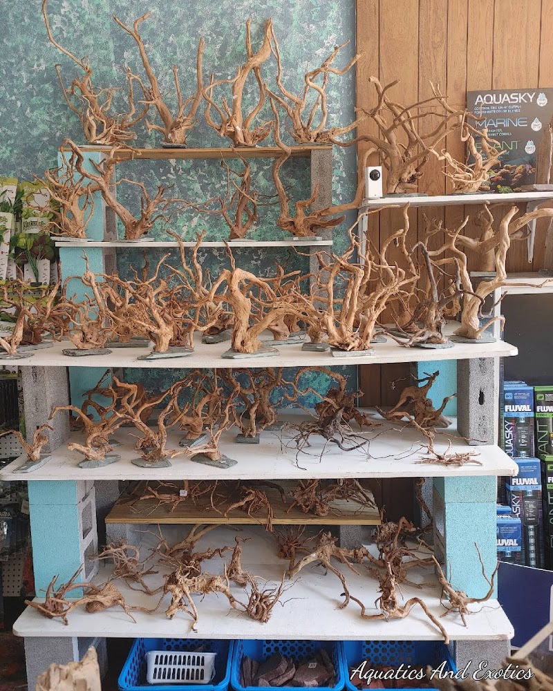 Aquatics and Exotics Pet Shop llc - Photo 4