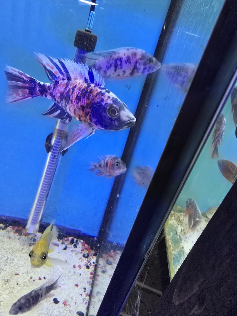 Aquatic Haven - Photo 3