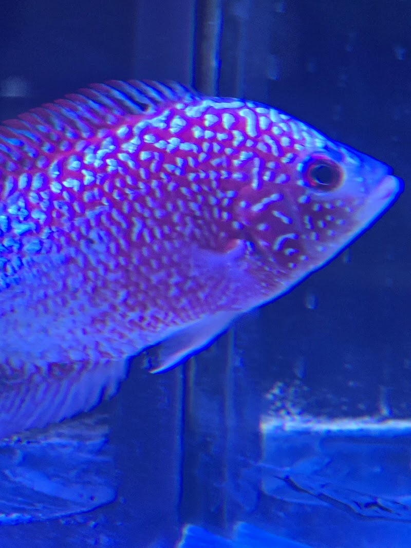 Aquatic Haven - Photo 4