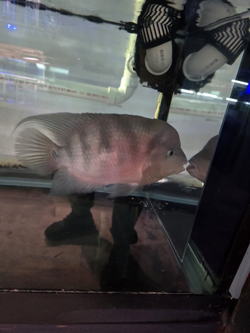 Aquatic Haven - Photo 5