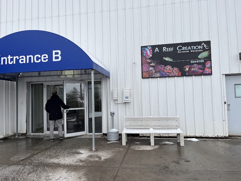 A Reef Creation - Photo 1